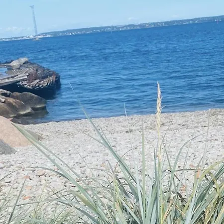 Romantic Near The Beach, Free Parking, Self Check In *